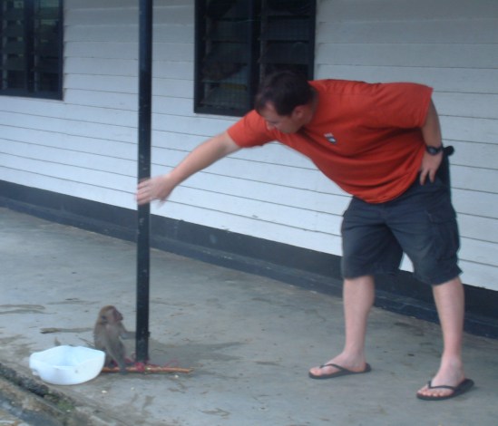 2004 04 04 Don't Pet the Monkey