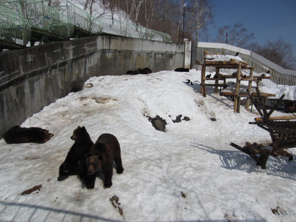 2012 03 09 Noboribestu, Kamu Koen